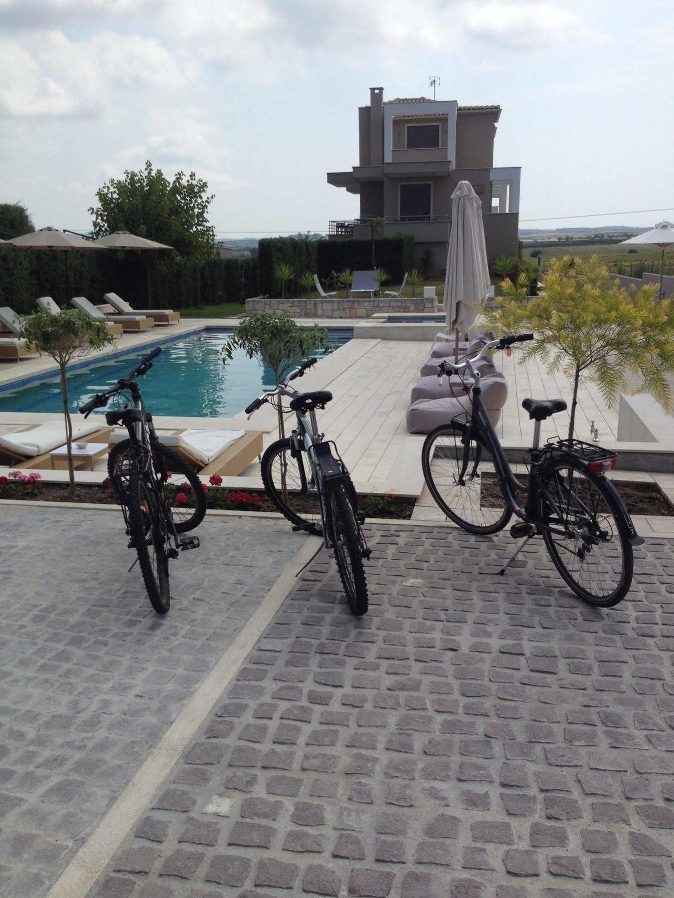 Niovi Boutique Apartments อาฟิโตส ภายนอก รูปภาพ