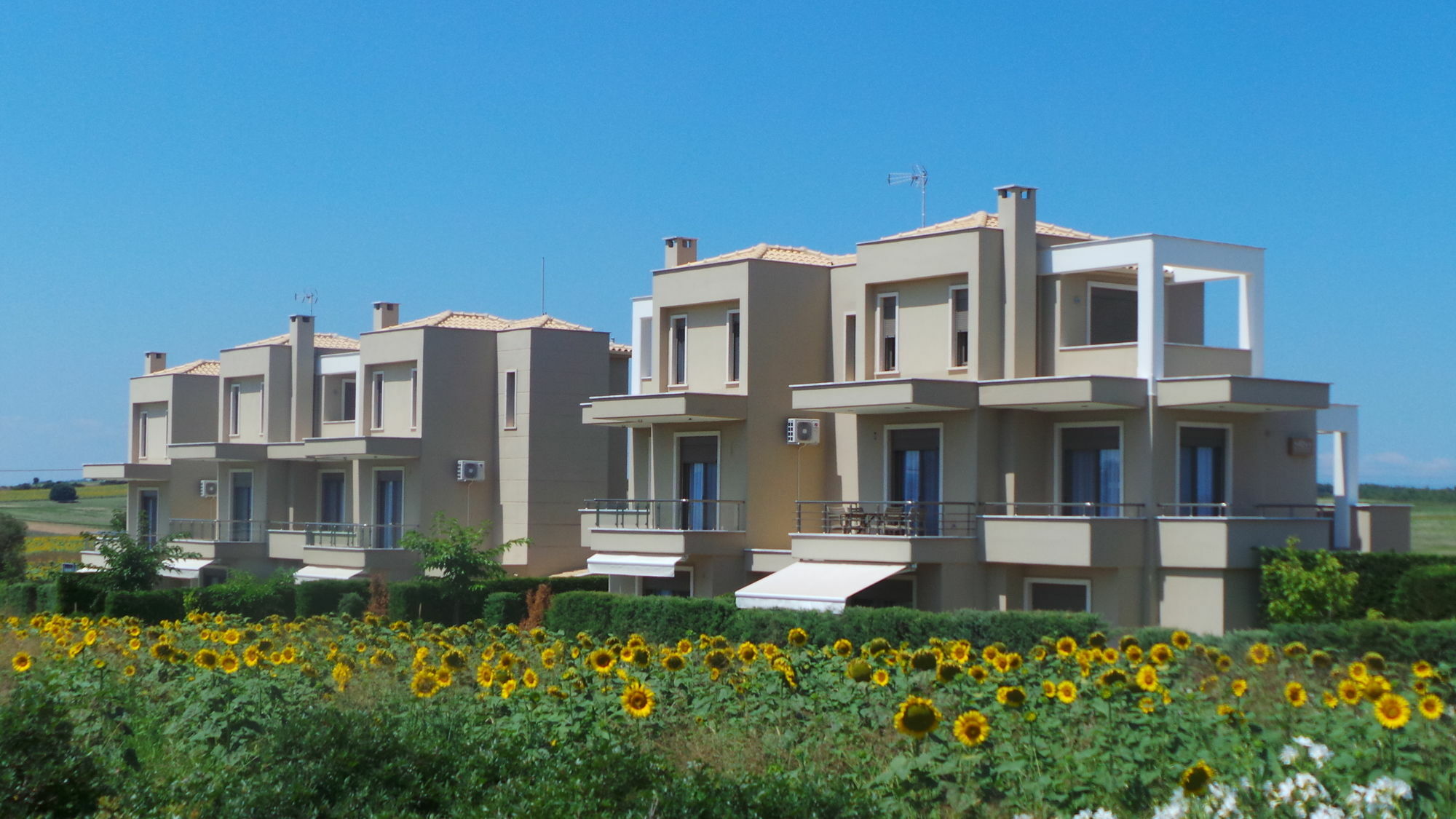 Niovi Boutique Apartments อาฟิโตส ภายนอก รูปภาพ